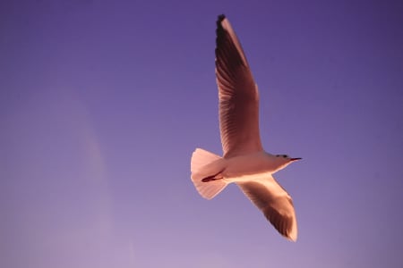 emma harrisova z0asNtY2bvc unsplash 450px